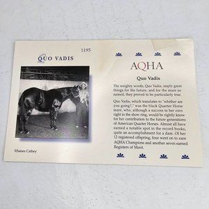 Breyer Quo Vadis Model Info Card AQHA